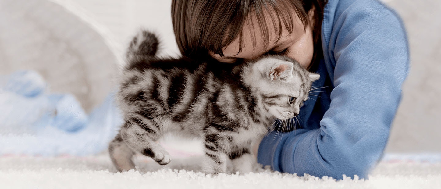 Cat Scratching and Clawing and its Treatments