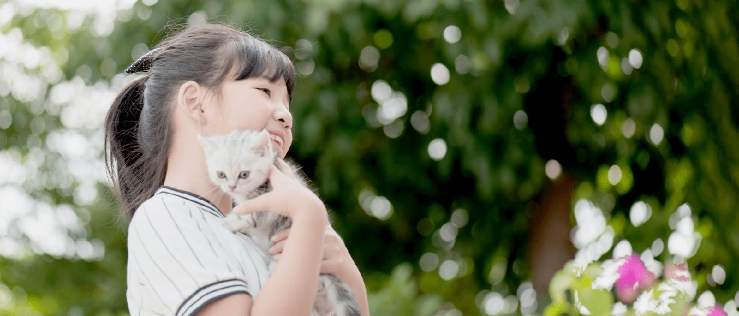 Introducing Kitten to Children