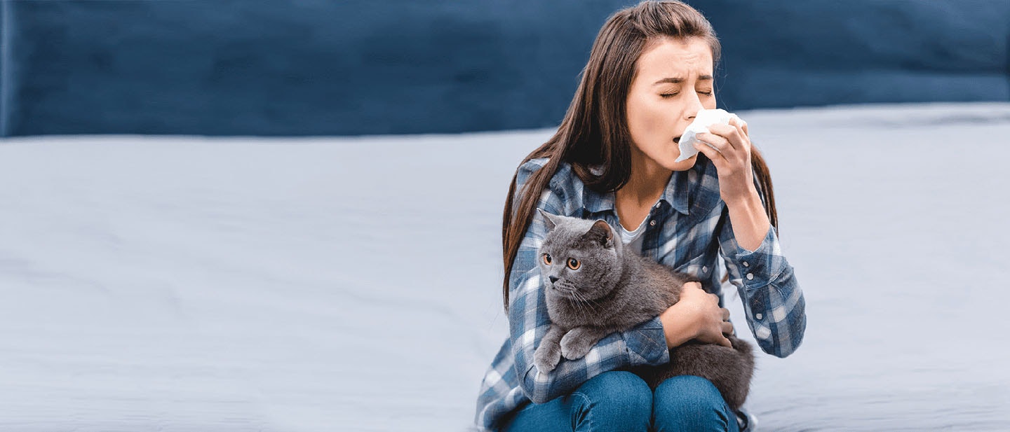 Cat Allergies: Symptoms and Treatments