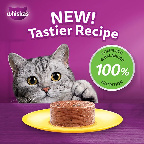 image 10277183-en-whiskas-wet-can-adult-tuna-400g-2-_food-shot_1698760515514