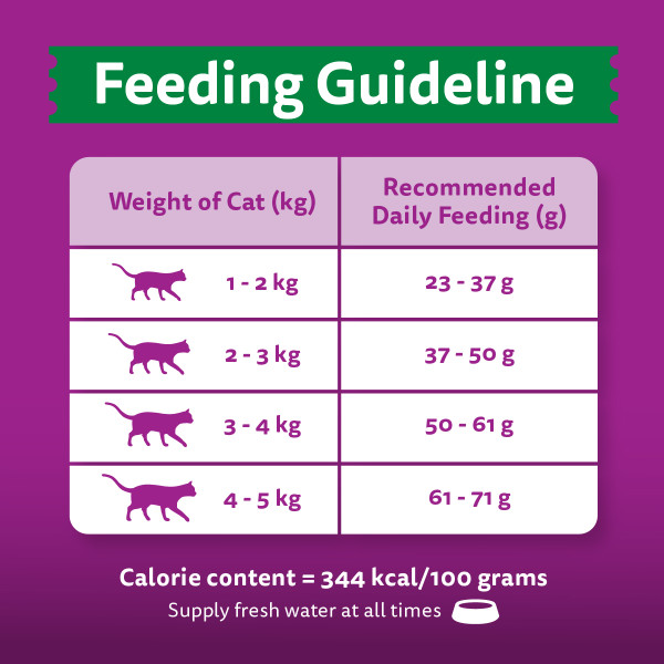 A feeding chart of WHISKAS® dry cat food showing recommended daily feeding amounts based on cat weight